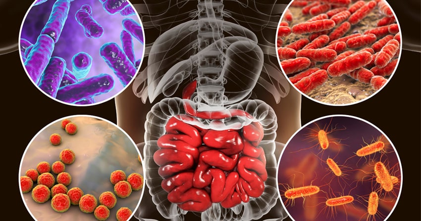Sinu mikrobioomi tervis = Sinu tervis – kuidas seda hoida?