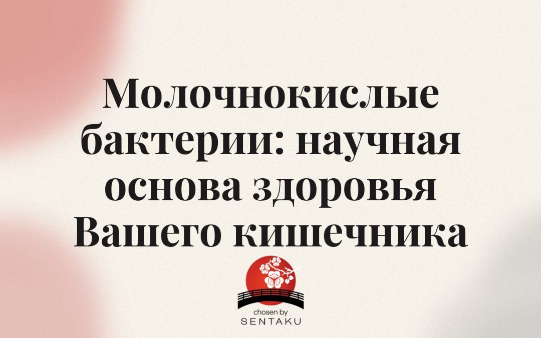 Молочнокислые бактерии: научная основа здоровья Вашего кишечника