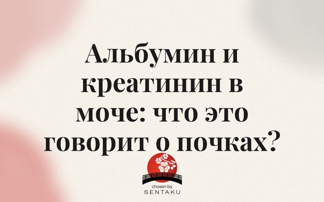 Альбумин и креатинин в моче: что это говорит о почках?
