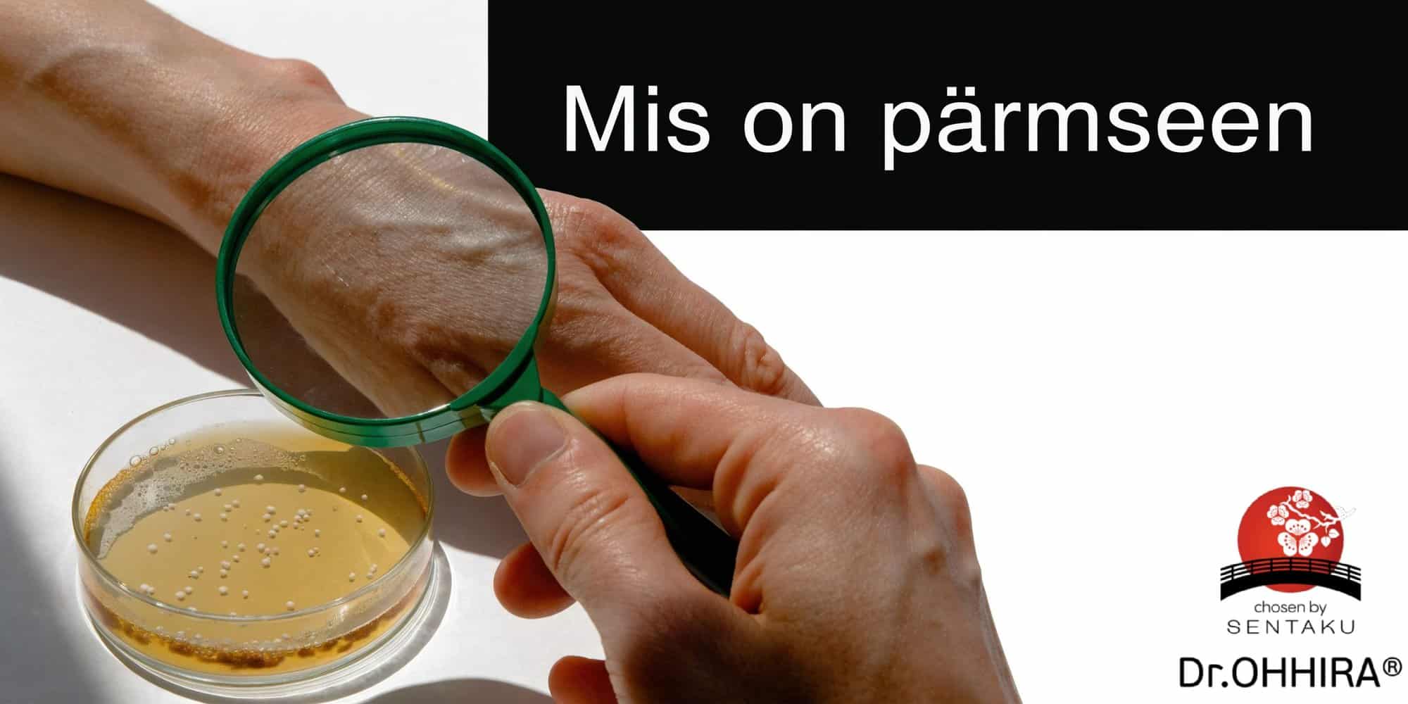 Käsi hoiab luupi, vaadates nahka ja petri tassi seenekultuuriga. Tekst: Mis on pärmseen.