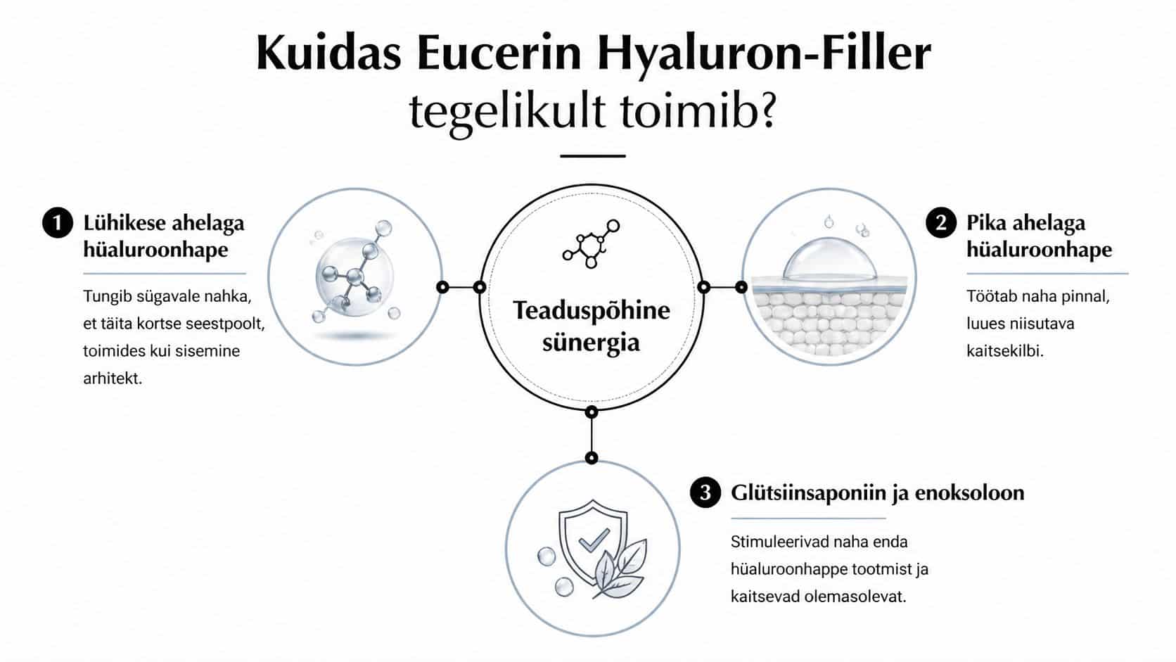 Infograafik selgitab Eucerin Hyaluron-Filler toote toimimist, kasutades lühikese ja pika ahelaga hüaluroonhapet ning glütsiinsaponiini ja enoksolooni.