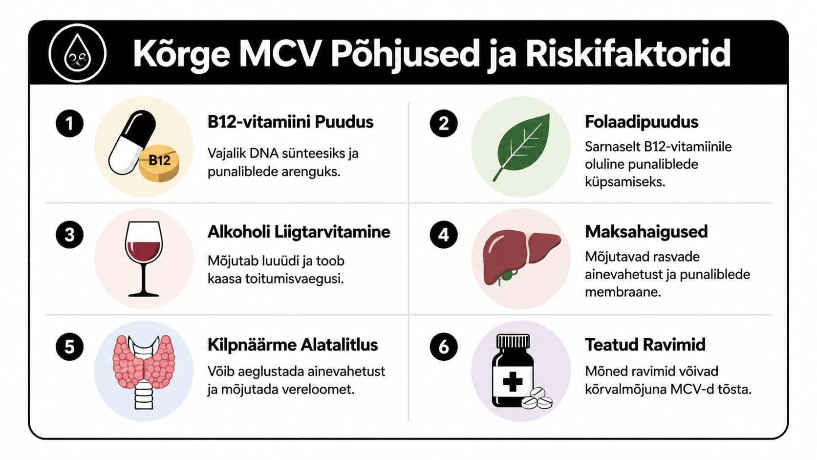 Infograafik selgitab kõrge MCV taseme peamisi põhjuseid ja riskitegureid, sealhulgas vitamiinipuudust, elustiili ja tervisehäireid.