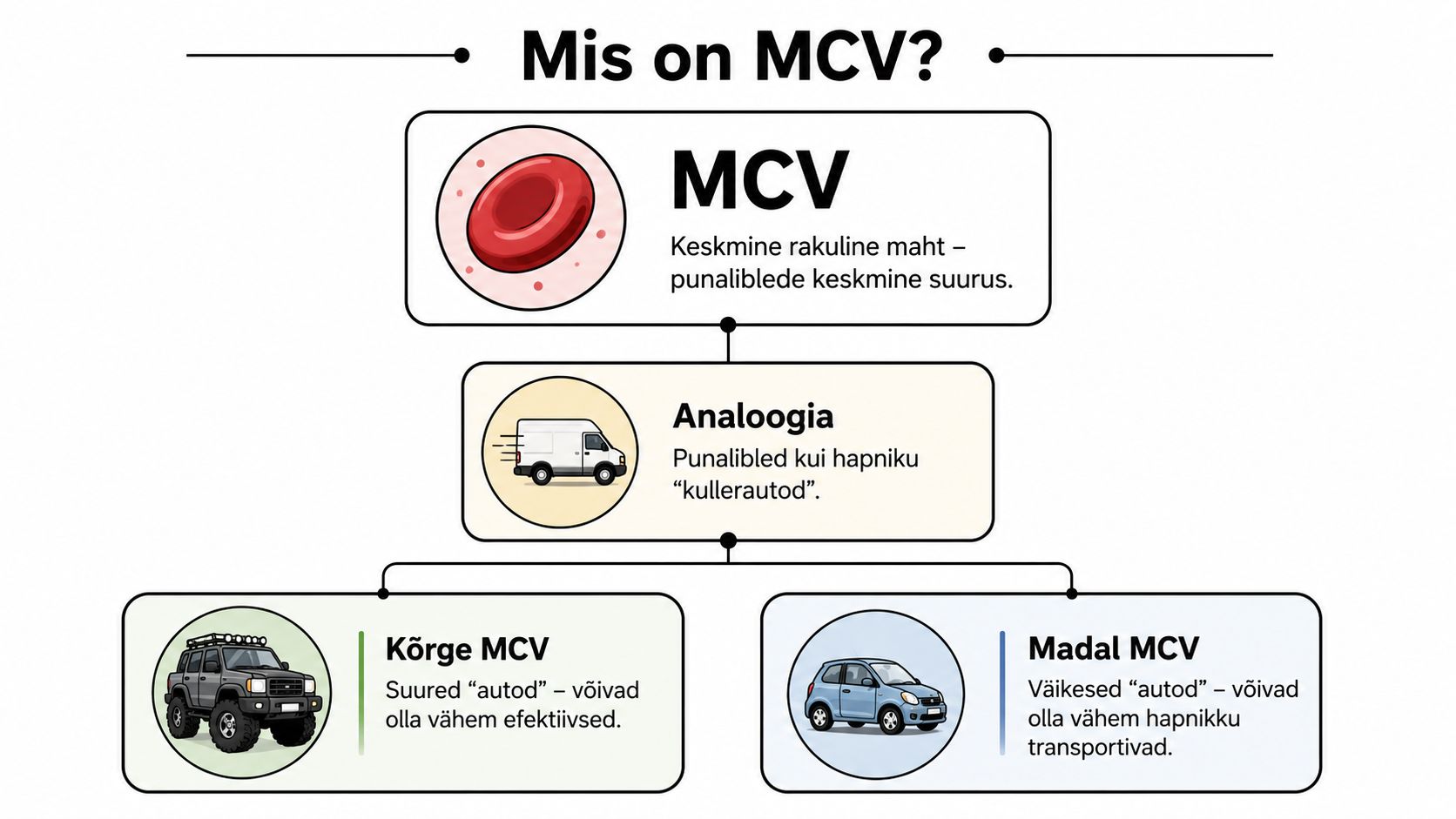 Infograafik selgitab MCV mõistet ja selle seost punaliblede suuruse ning hapniku transpordiga lihtsa autoanaloogia abil.