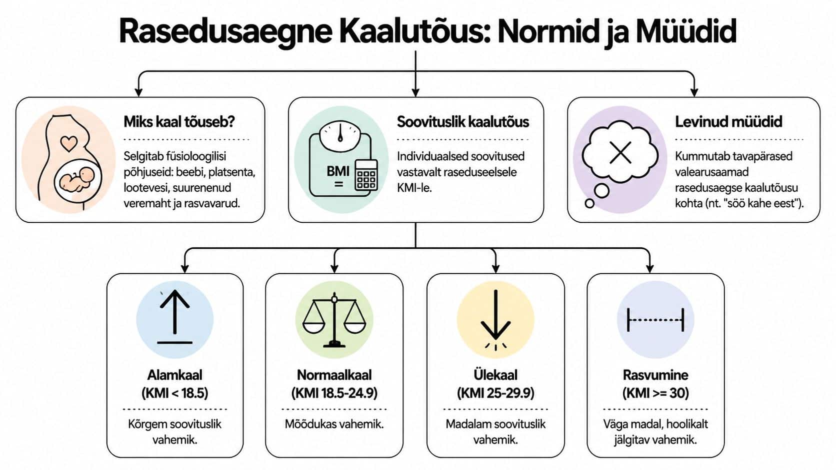 Infograafik selgitab rasedusaegse kaalutõusu põhjuseid, soovitusi vastavalt KMI-le ja kummutab levinud müüte sellel teemal.