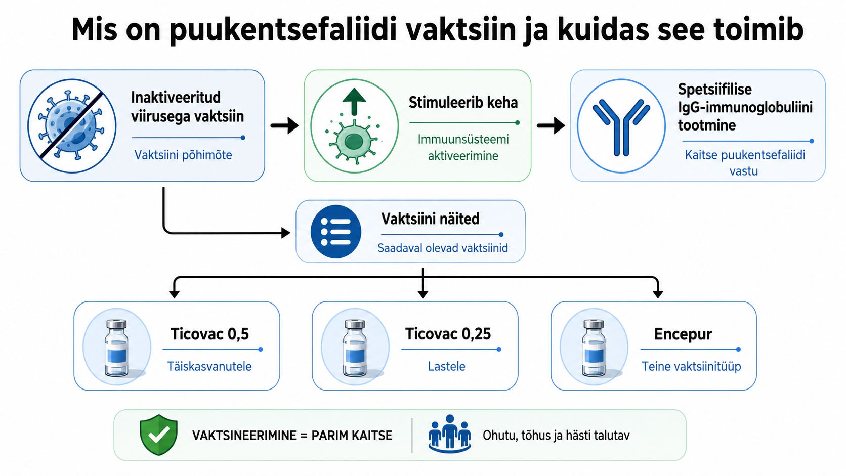 Infograafik selgitab puukentsefaliidi vaktsiini toimimist, näidates protsessi ja saadaolevaid vaktsiinide tüüpe täiskasvanutele ning lastele.