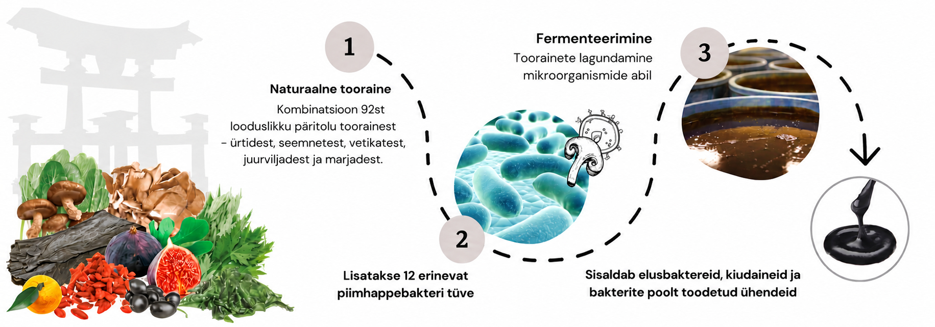 Dr.OHHIRA piimhappebakteritega toidulisandite tootmisprotsess