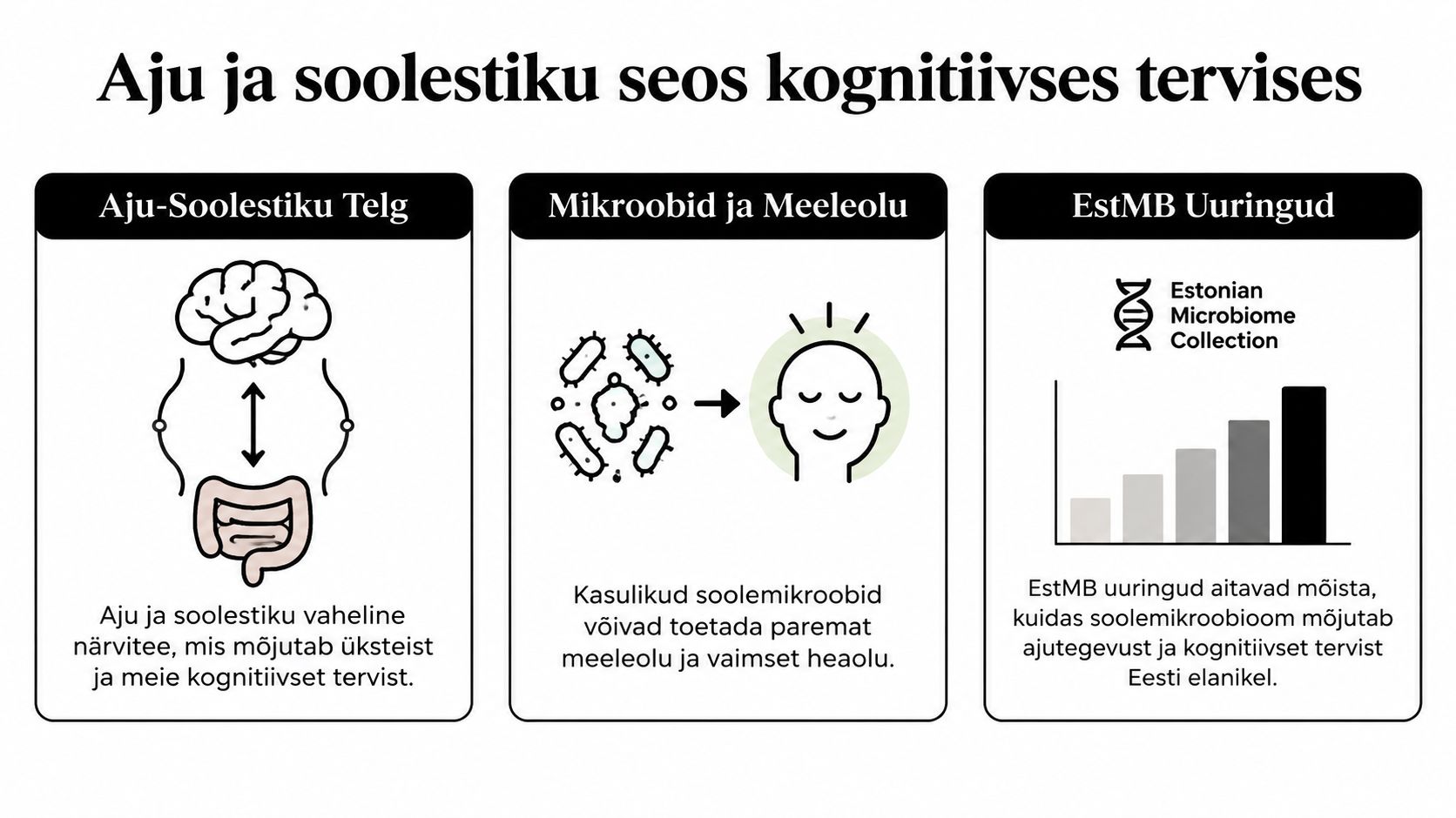 Infograafik selgitab aju ja soolestiku vahelist seost, soolebakterite mõju meeleolule ning Eesti mikrobioomi uuringute tähtsust kognitiivsele tervisele.