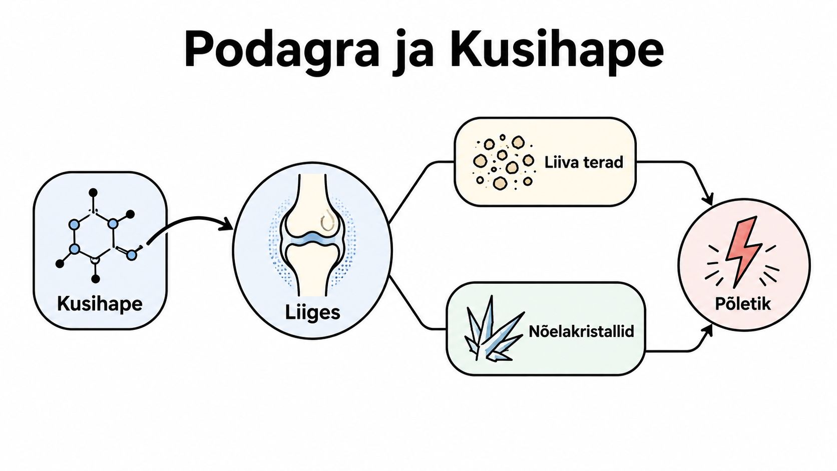 Skeemiline illustratsioon, mis selgitab kusihappe ja liigesepõletiku seost podagra haiguse tekkes ning arengus.