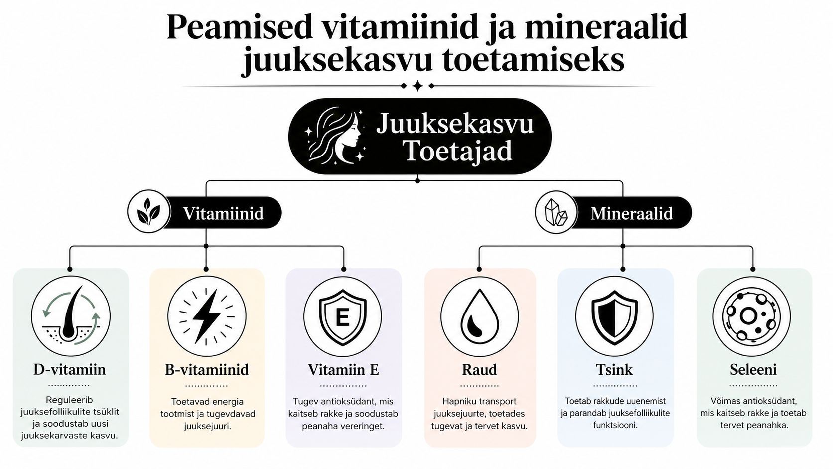 Infograafik peamistest vitamiinidest ja mineraalidest, mis toetavad juuste tervist ja juuksekasvu nende funktsioonide kirjeldustega.