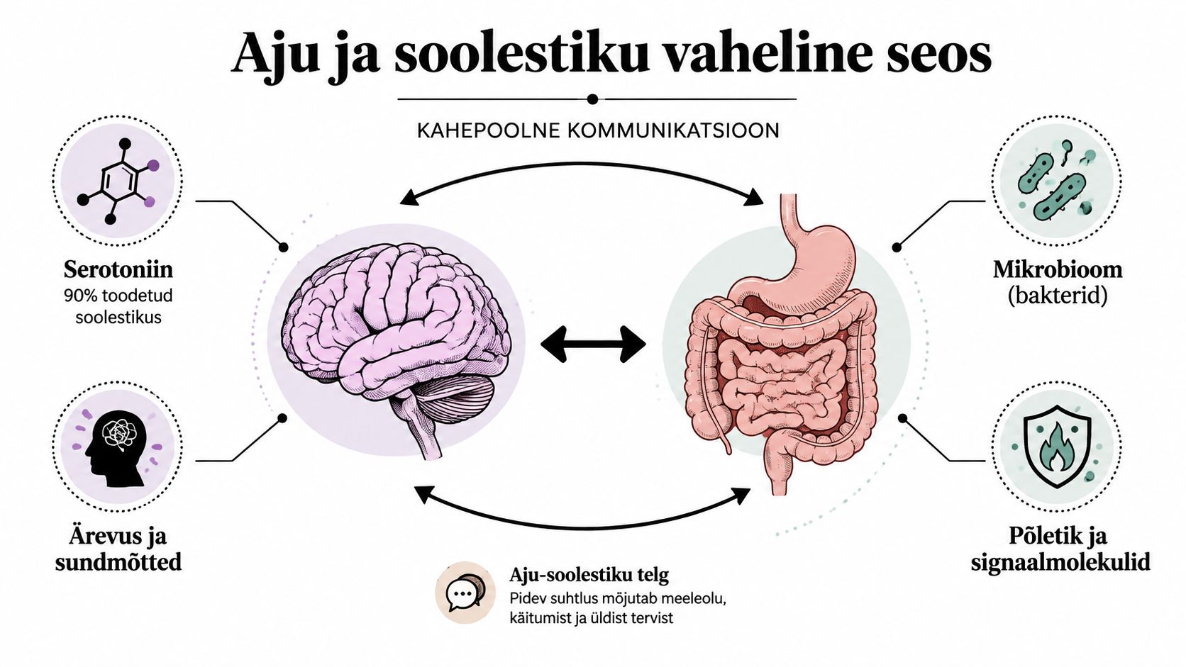 Diagramm, mis illustreerib aju ja soolestiku vahelist kahesuunalist kommunikatsiooni ning nende mõju vaimsele tervisele ja kehale.