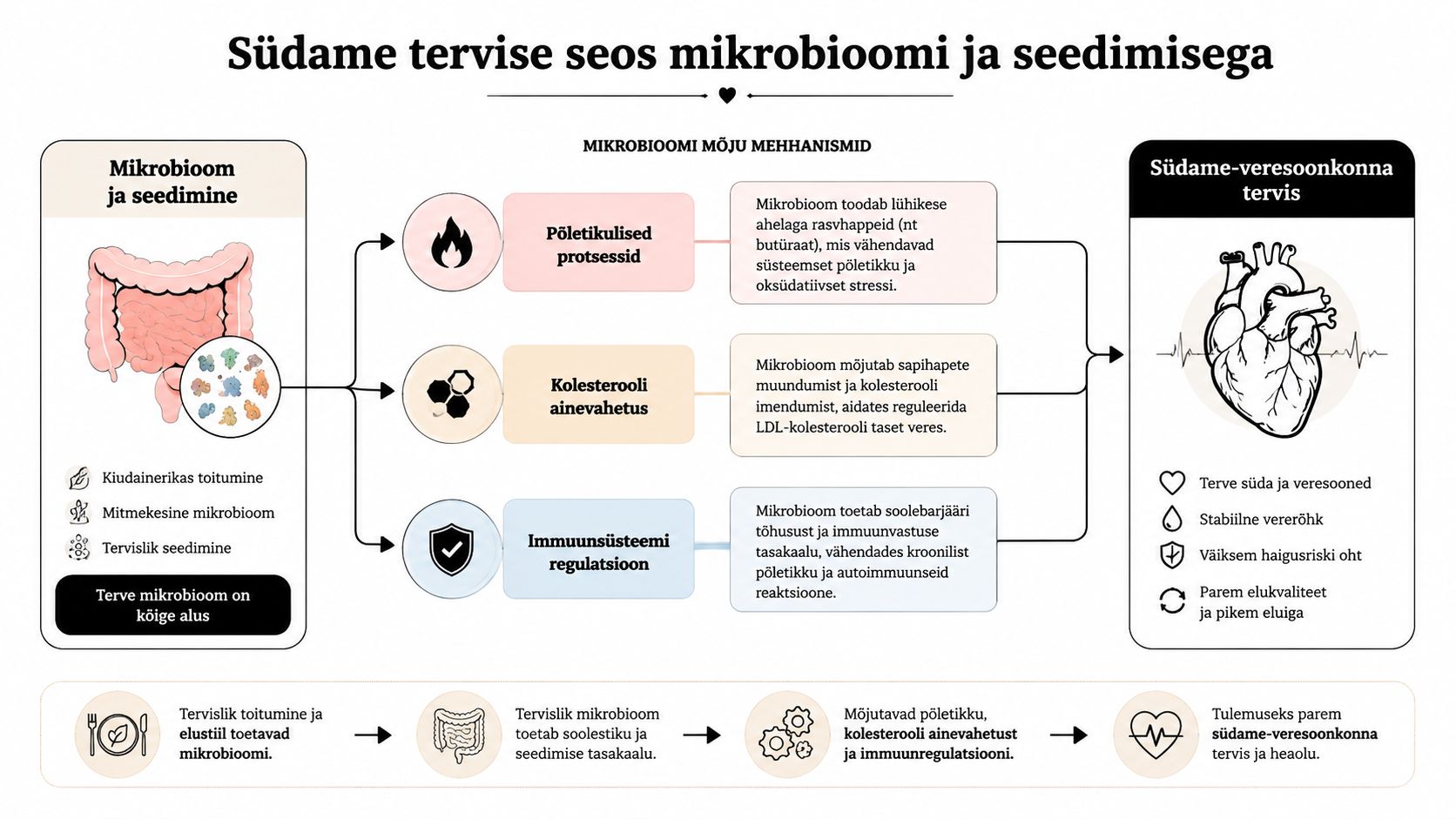 Infograafik, mis selgitab seoseid soolestiku mikrobioomi, seedimise ja südame-veresoonkonna tervise vahel ning selle mõju heaolule.