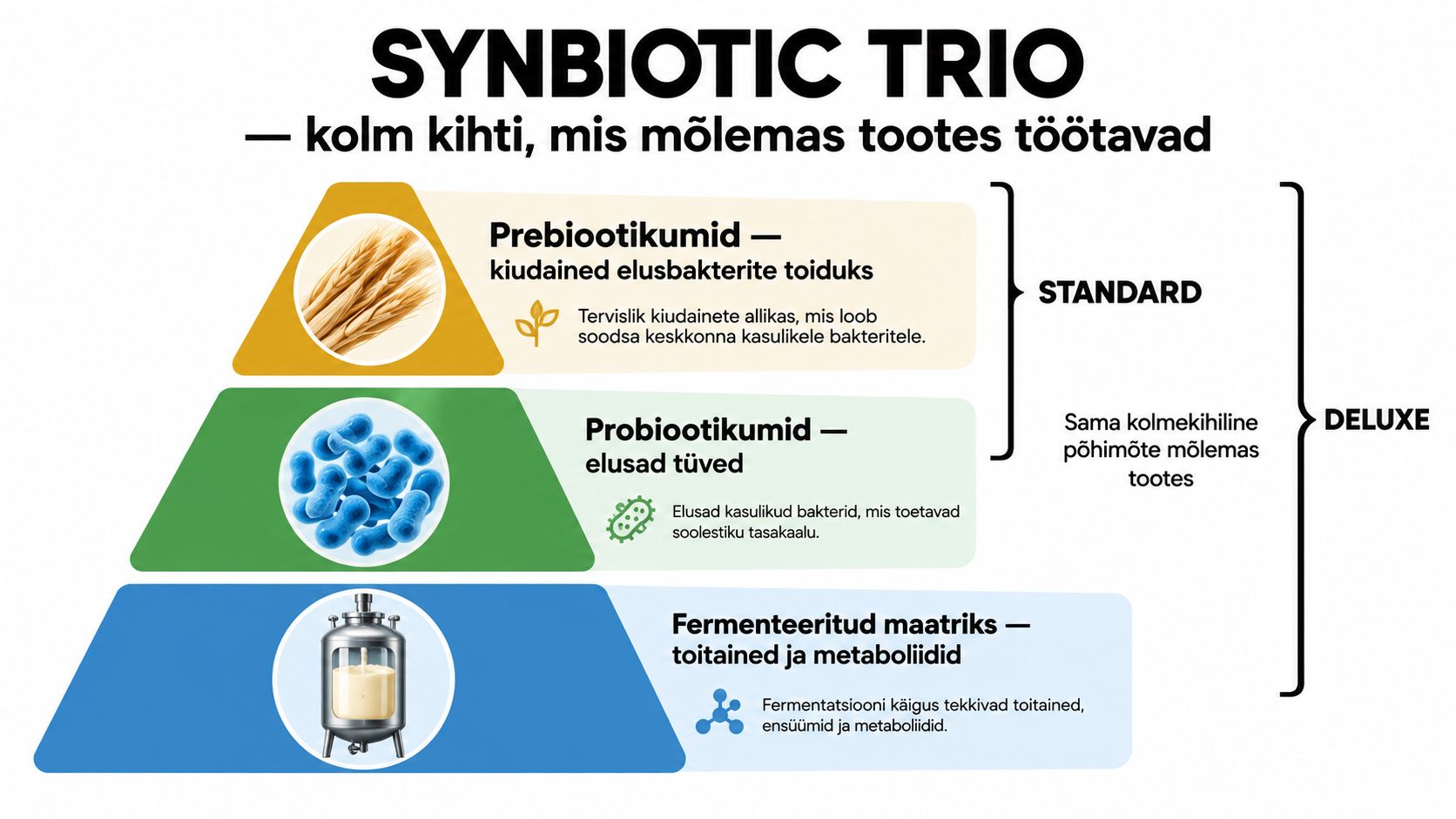 Skeem, mis selgitab sünbiootilise trio kolme kihti: prebiootikumid, probiootikumid ja fermenteeritud maatriks toidulisandite koostises.