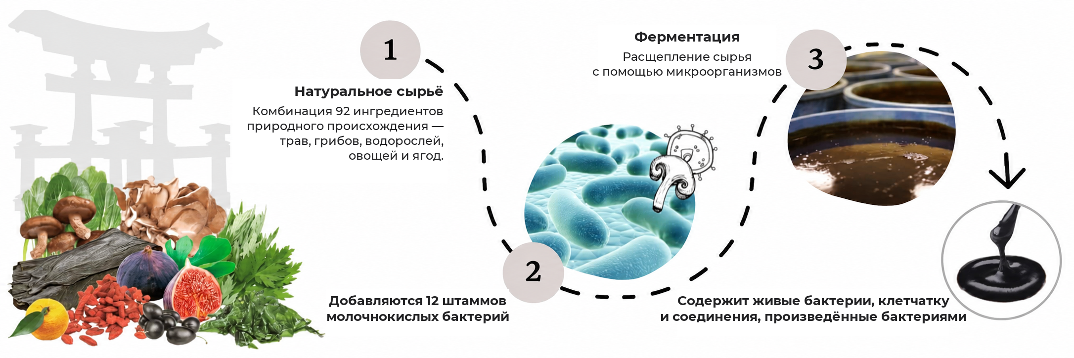 Ферментационная смесь