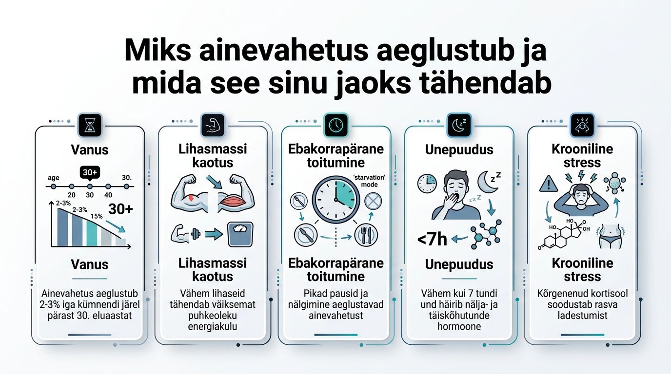 Infograafik selgitab viit peamist tegurit, mis aeglustavad inimese ainevahetust pärast kolmekümnendat eluaastat ja mõjutavad üldist tervist.