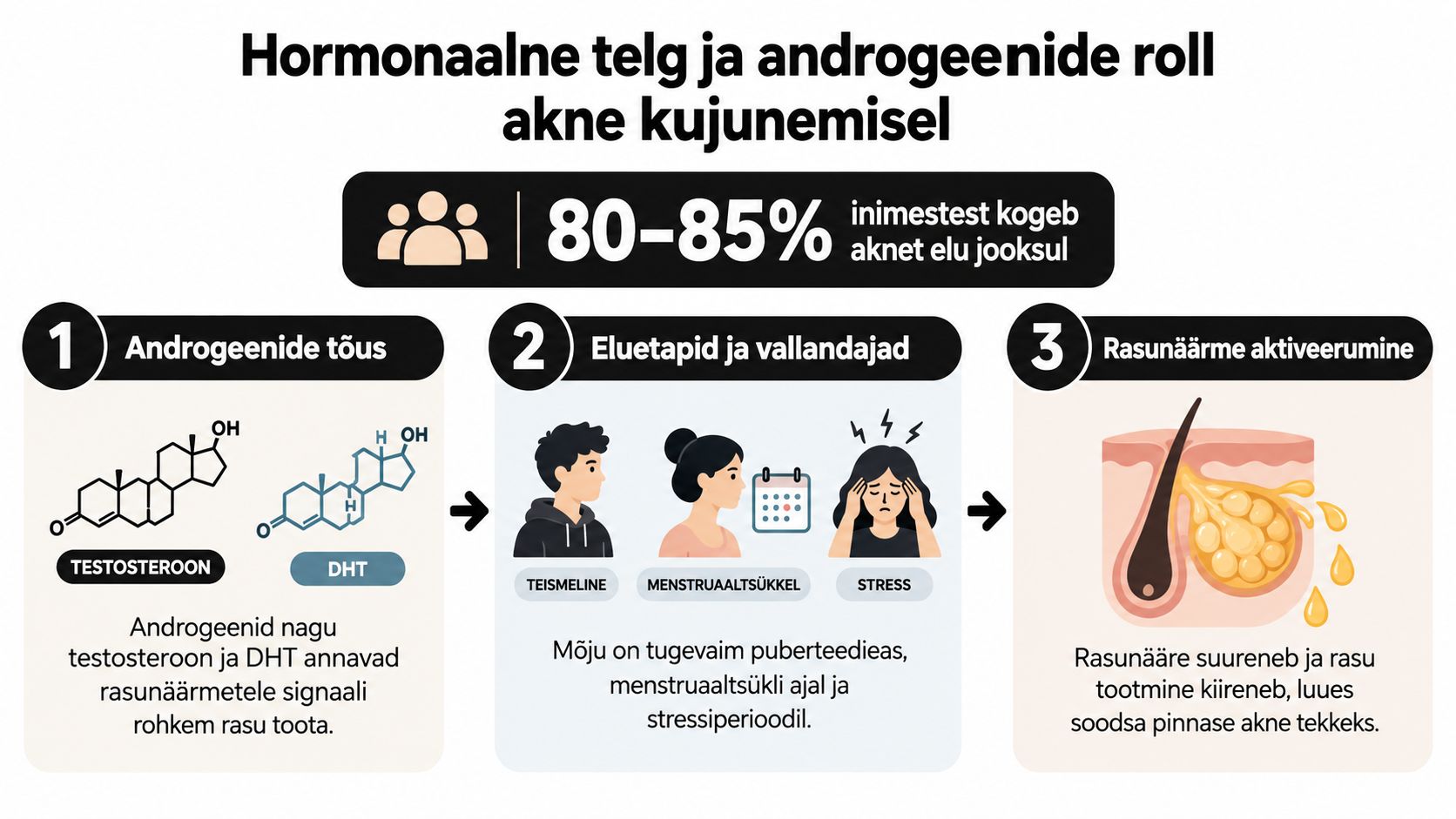 Infograafik selgitab hormonaalse telje ja androgeenide rolli akne tekkes ning rasunäärmete aktiivsuse suurenemist puberteedieas.
