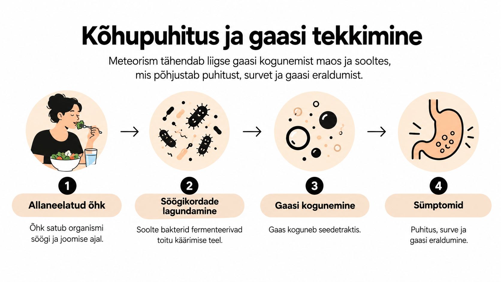 Infograafik selgitab kõhupuhituse ja gaaside tekke protsessi etappe alates söömisest kuni sümptomite ilmnemiseni seedetraktis.