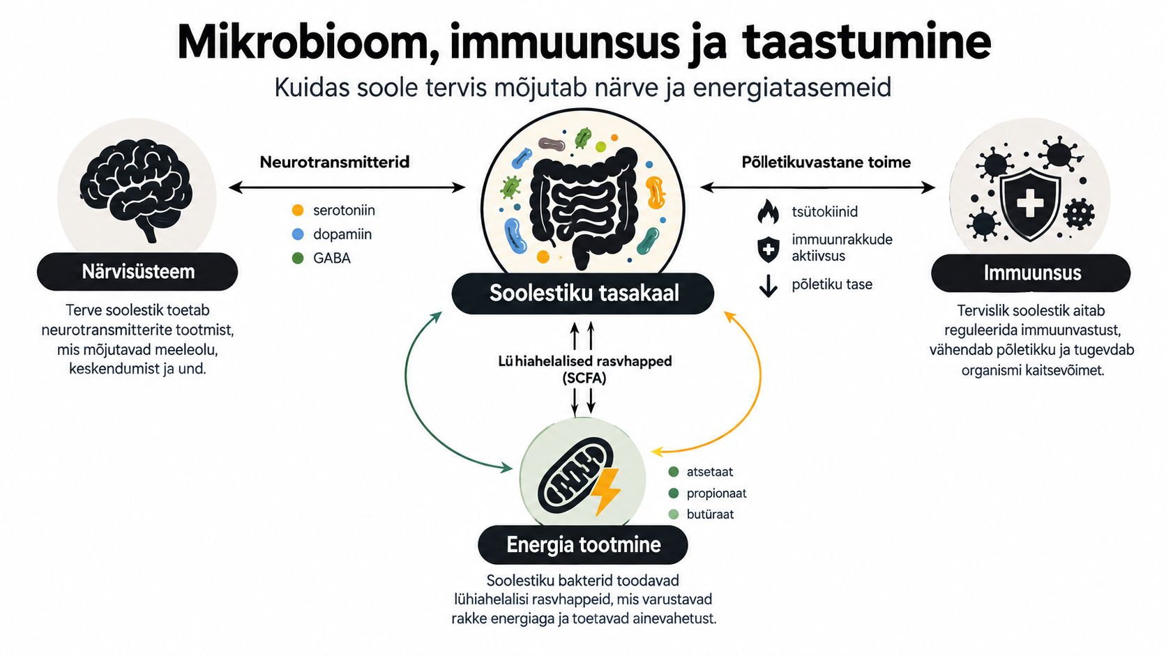 Skeem selgitab soolestiku mikrobioomi mõju närvisüsteemile, immuunsüsteemile ja organismi energiatootmisele ning taastumisprotsessidele.