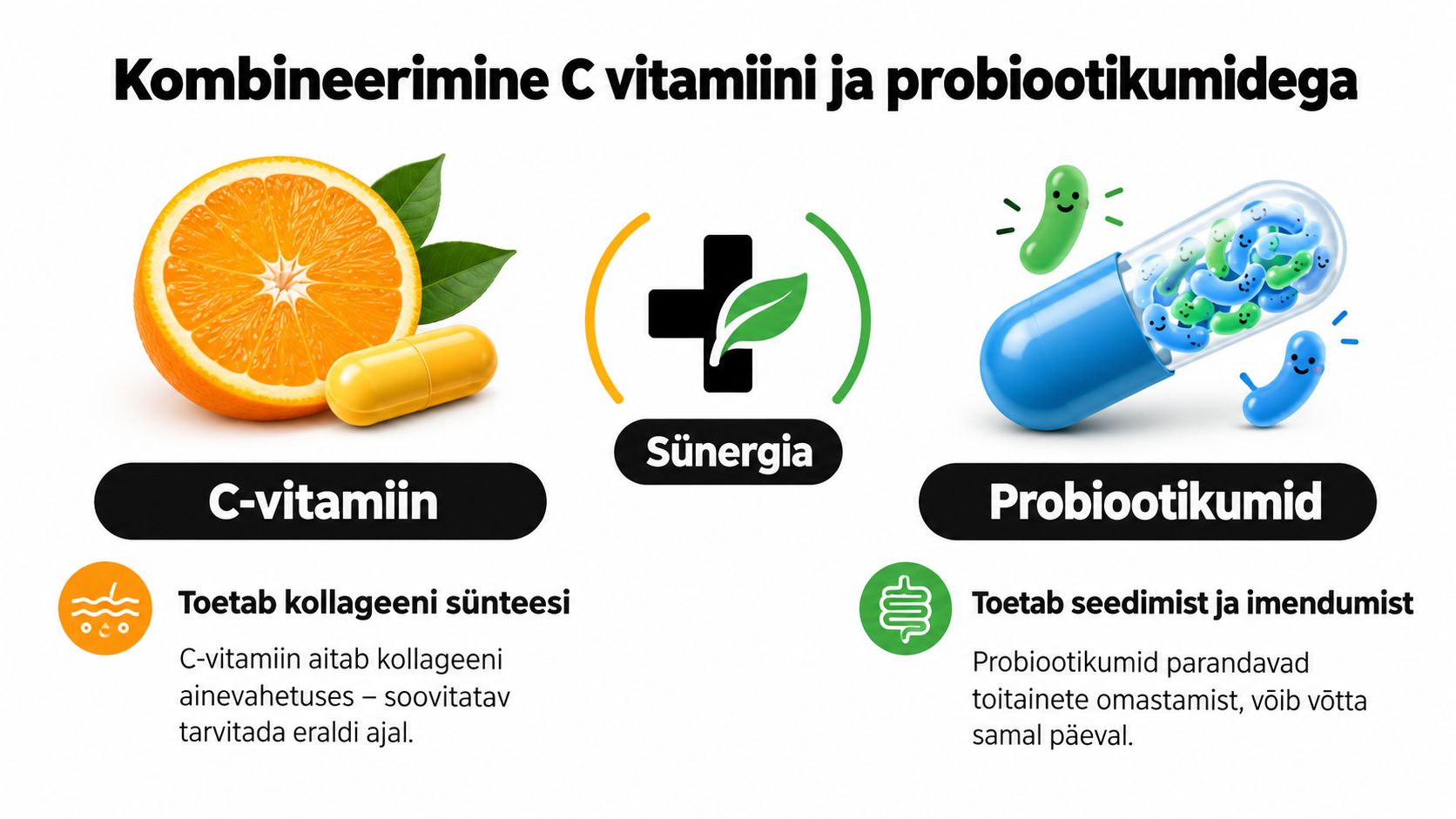 Graafiline juhend, mis selgitab C-vitamiini ja probiootikumide koos tarvitamise sünergiat ja nende kasulikke omadusi tervisele.