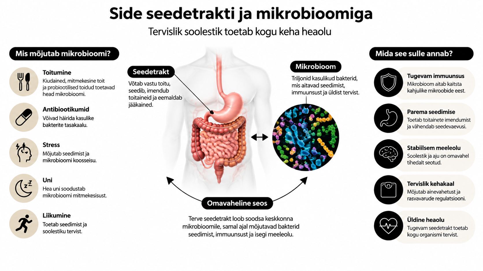 Infograafik selgitab seedetrakti ja mikrobioomi omavahelist seost ning nende mõju inimese üldisele tervisele ja heaolule.