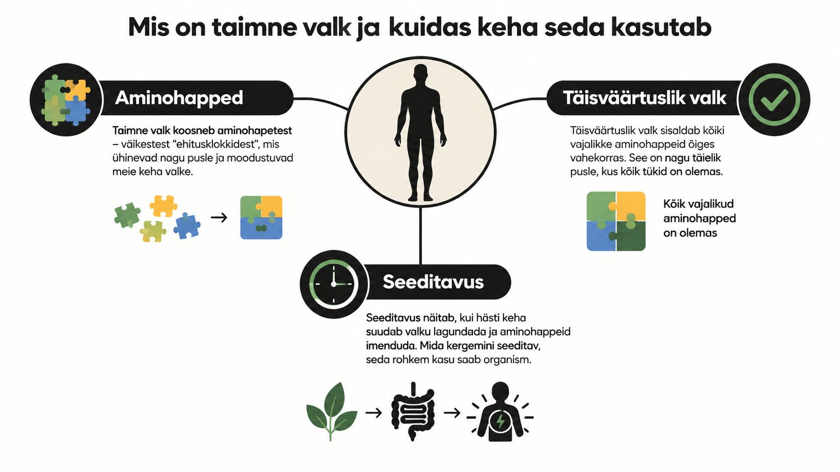 Infograafik, mis selgitab taimsete valkude ehitust, täisväärtuslikkust ja nende seeduvust inimorganismis lihtsas ja arusaadavas vormis.