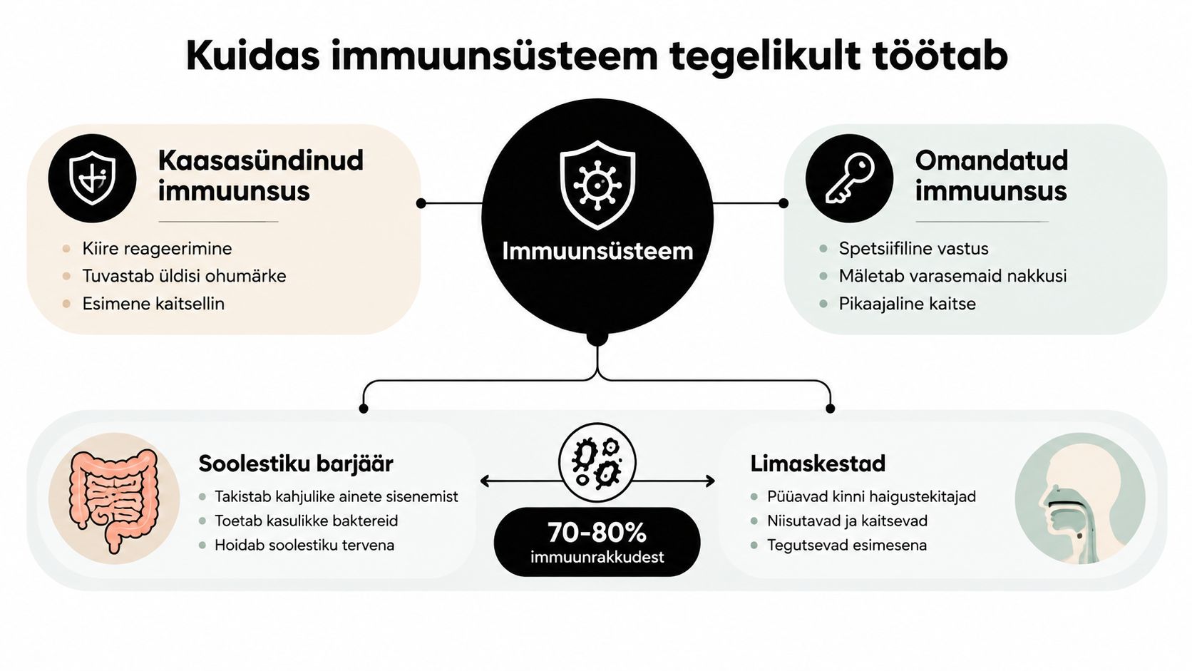 Skeem, mis selgitab inimese immuunsüsteemi toimimist, jagades selle kaasasündinud ja omandatud immuunsuseks ning soolestiku ja limaskestade rolliks.