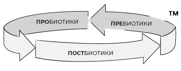 Постбиотики, пребиотики, пробиотики