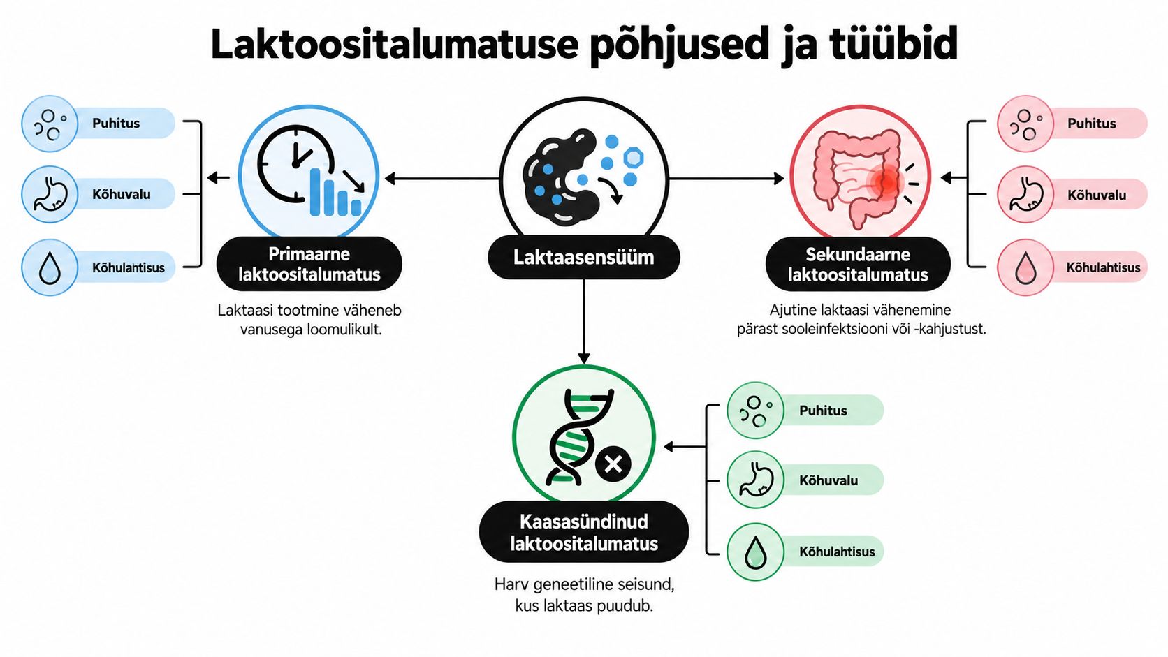 Infograafik selgitab laktoositalumatuse põhjuseid, tüüpe ja levinud sümptomeid nagu puhitus, kõhuvalu ja kõhulahtisus.