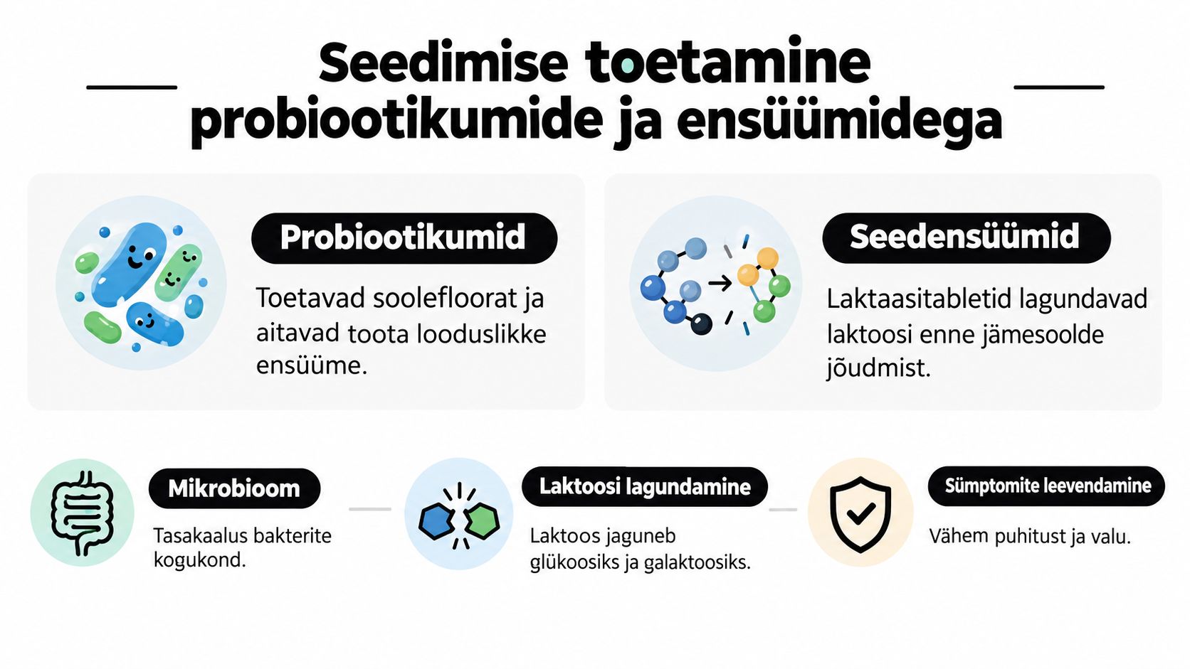 Infograafik selgitab, kuidas probiootikumid ja seedeensüümid aitavad leevendada laktoositalumatuse sümptomeid ning toetavad üldist soolestiku tervist.